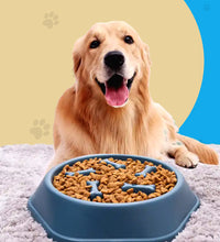 Smart Food Bowl